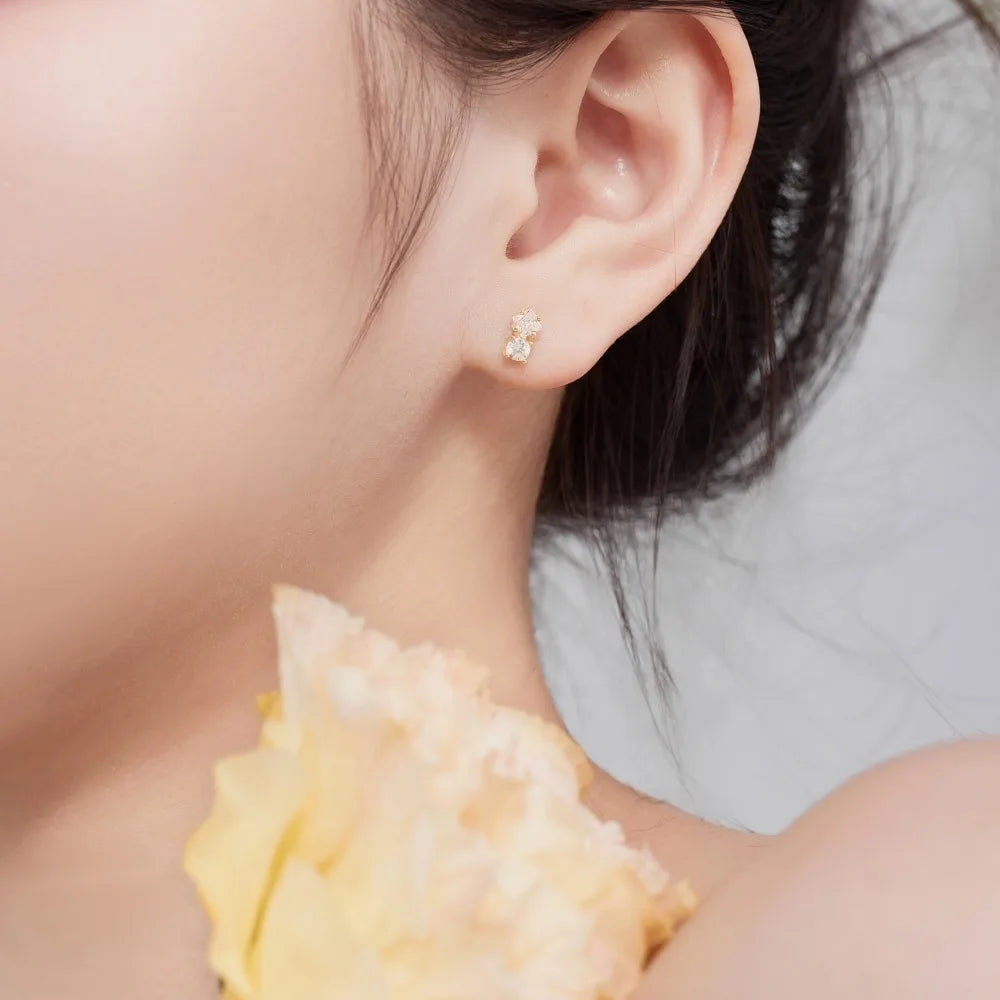 Silver Zircon Princess Cut Multi Shape Ear Studs