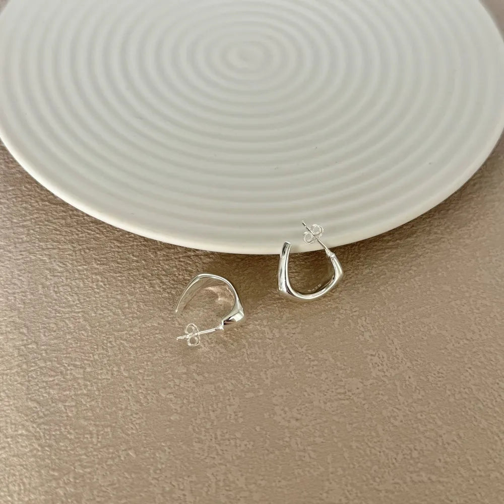 Silver Brushed Hook Ear Hoops