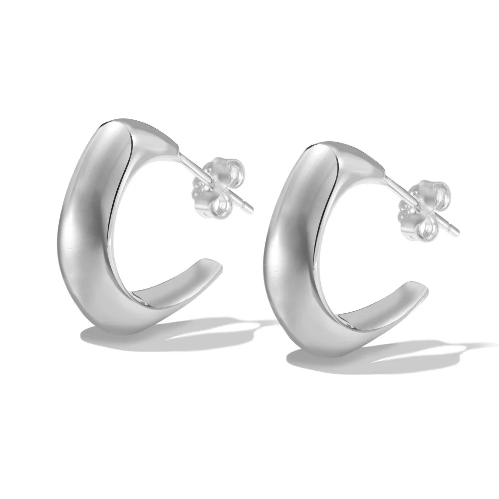 Silver Brushed Hook Ear Hoops