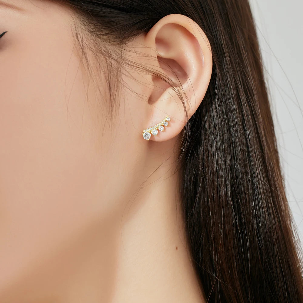 Silver Zircon Round Cut Inlaid Layered Ear Studs