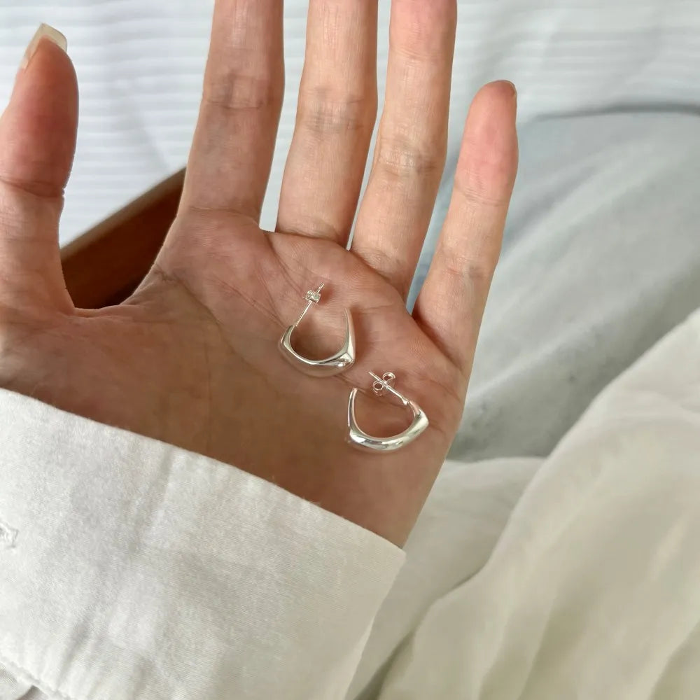 Silver Brushed Hook Ear Hoops