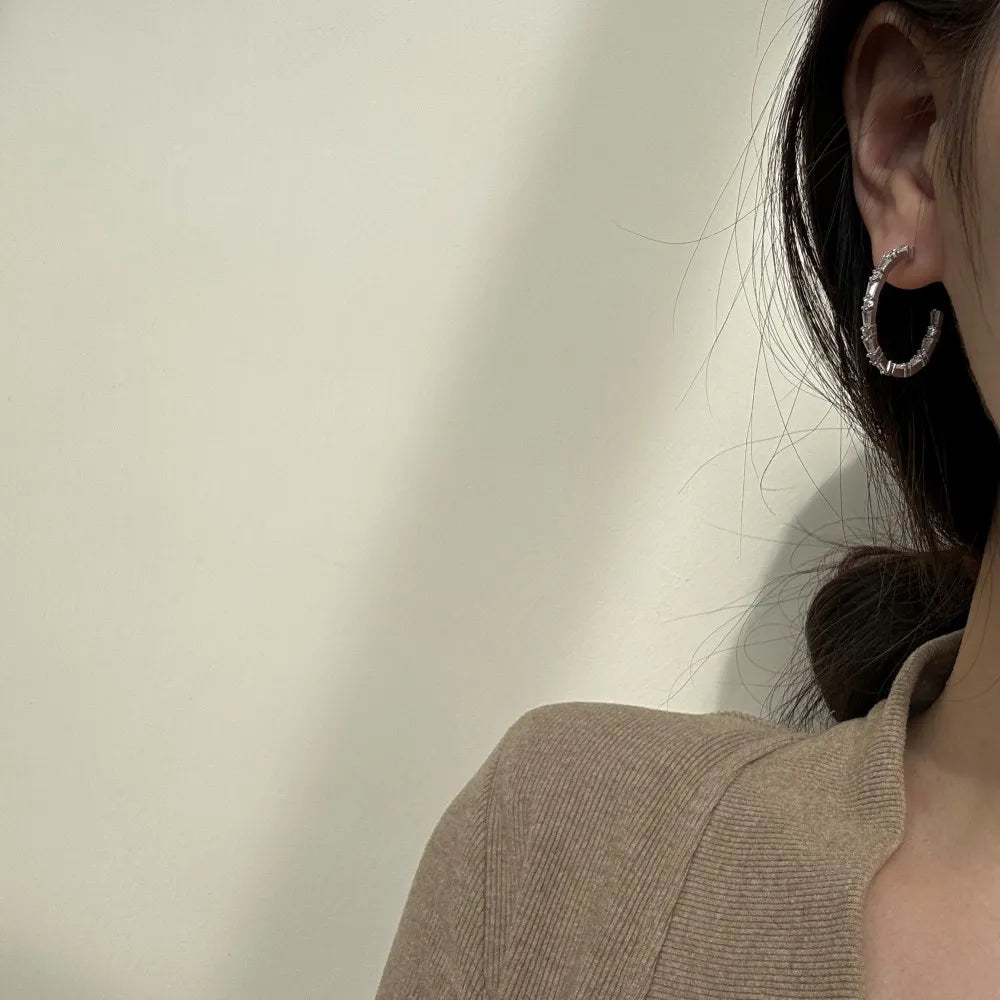 Silver Zircon Round Cut Inlaid Flower Ear Hoops