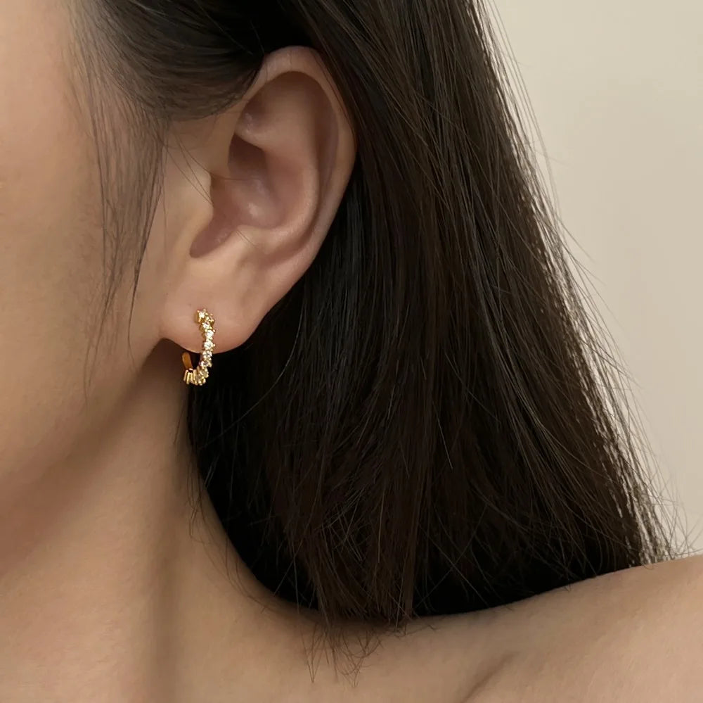 Silver Zircon Round Cut Hook Inlaid Ear Hoops