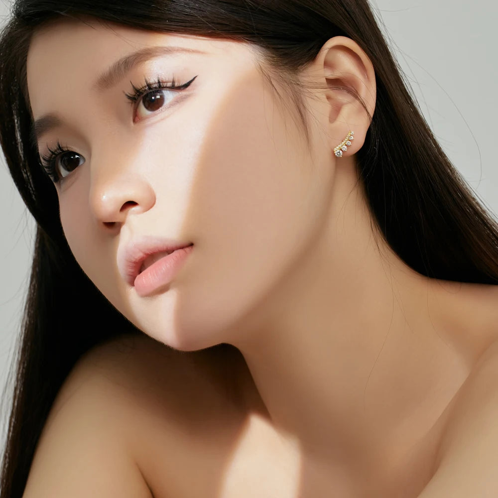 Silver Zircon Round Cut Inlaid Layered Ear Studs