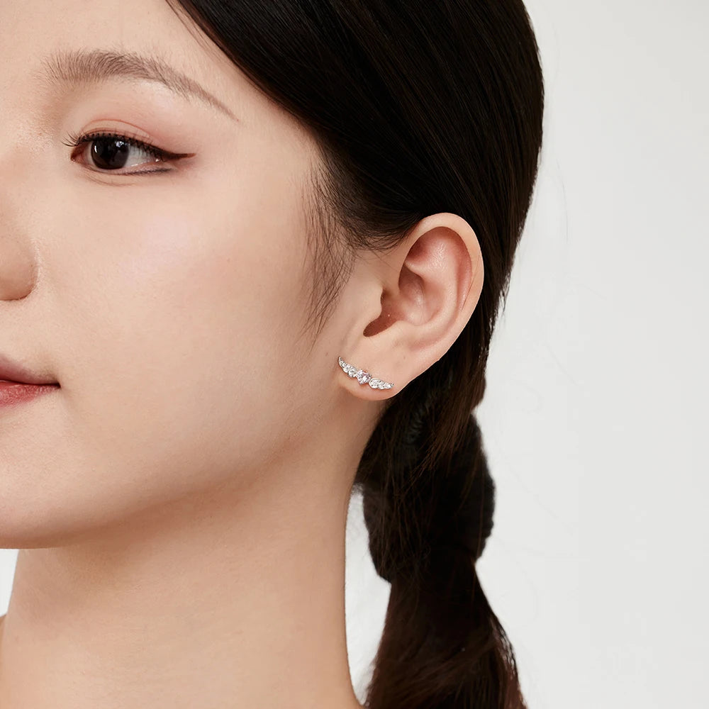 Silver Zircon Heart Cut Loving Wings Ear Studs
