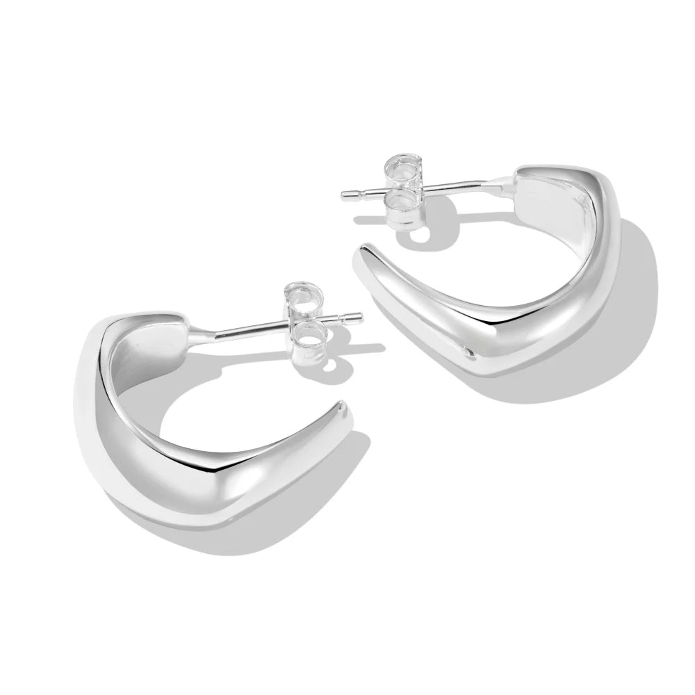 Silver Brushed Hook Ear Hoops
