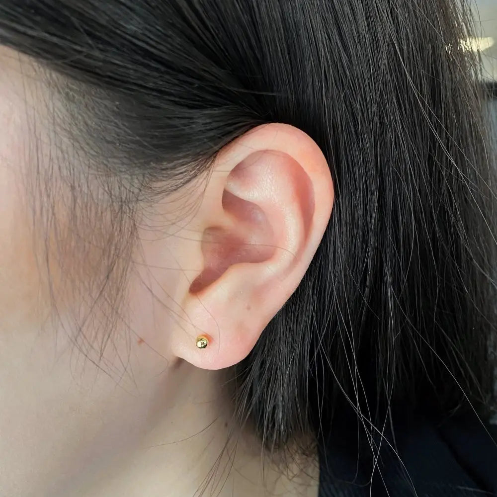 Silver Classic Ear Studs