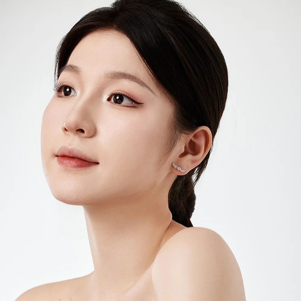 Silver Zircon Heart Cut Loving Wings Ear Studs