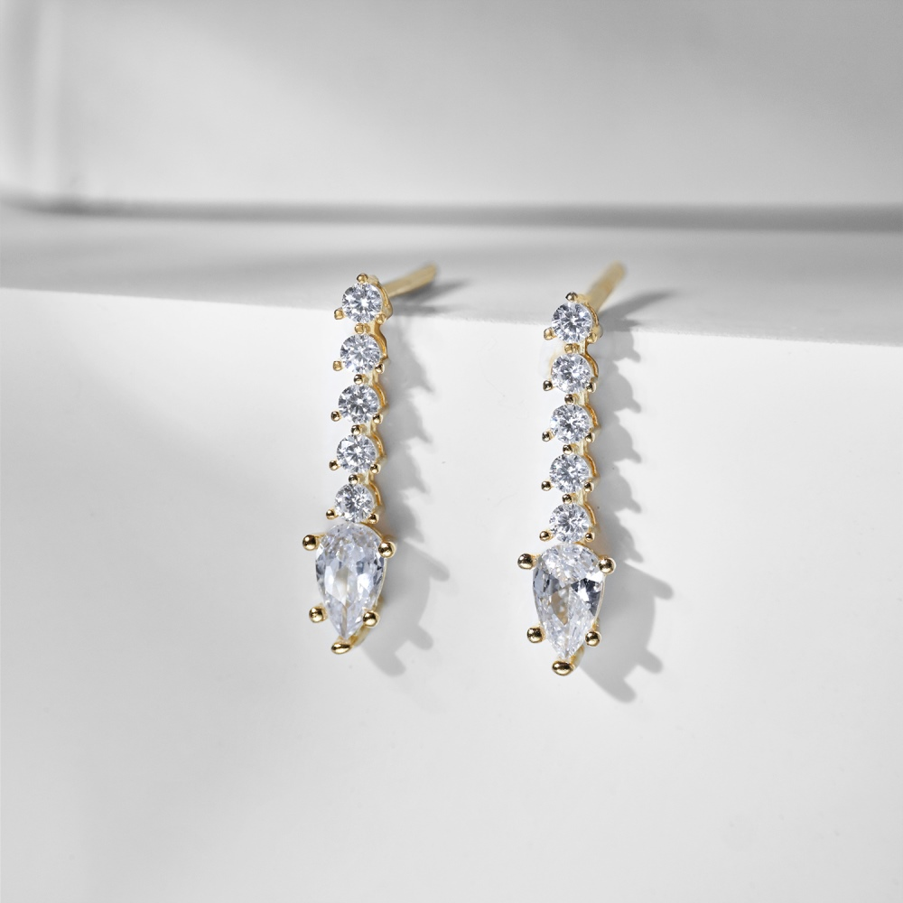 Drop Earrings