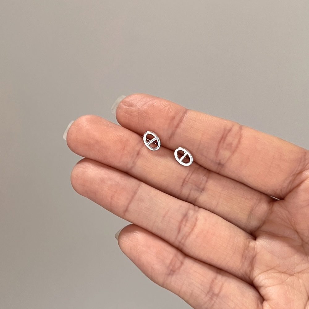 Silver Pig Nose Ear Studs